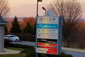 Skyview Commons image