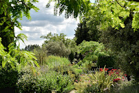 Photos du propriétaire du Restaurant Jardin Méditerranéen (piscine naturelle, grillades & salades) à Grignan - n°10