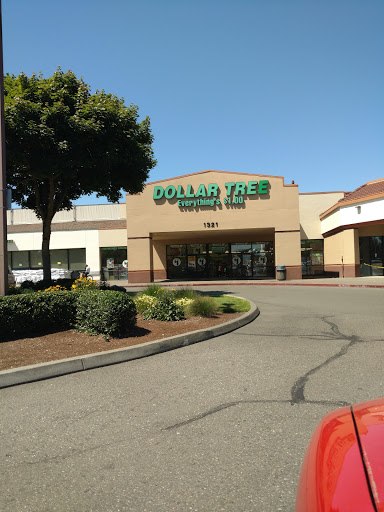 Dollar Store «Dollar Tree», reviews and photos, 1321 Marvin Rd NE, Lacey, WA 98516, USA