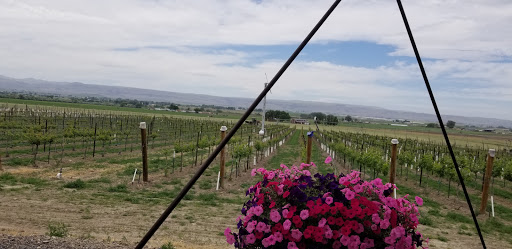 Vineyard «HAT Ranch Winery and Vineyard», reviews and photos, 15343 Plum Rd, Caldwell, ID 83607, USA