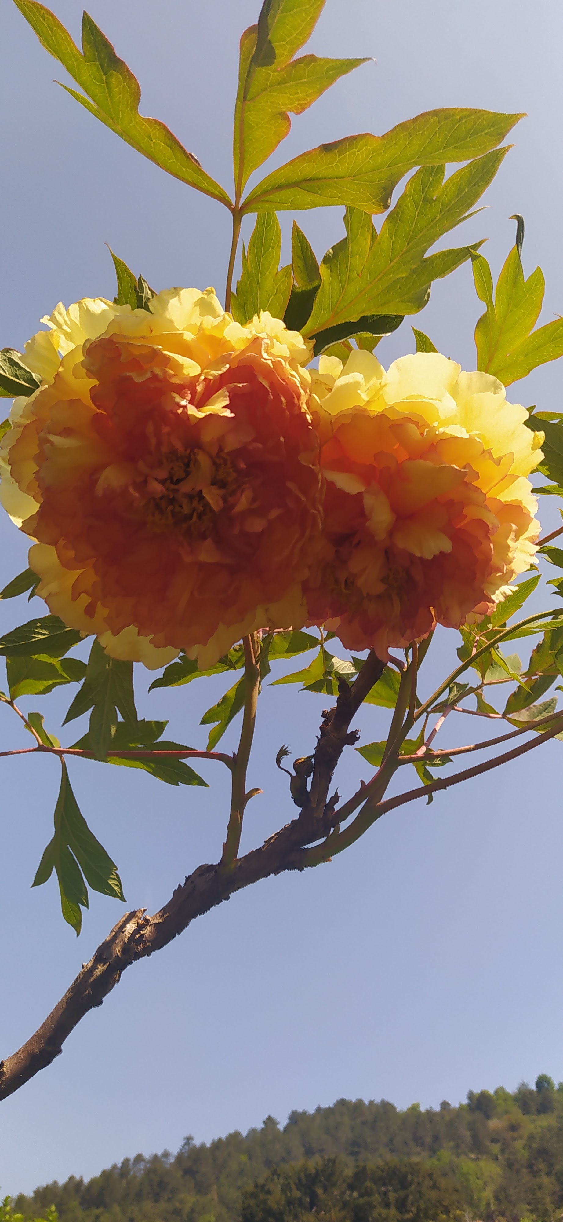 Photo n° 4 de l'avis de Beatrice.o fait le 30/05/2023 à 07:55