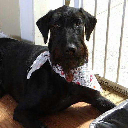 Pet Supply Store «Pet X Supplies & Tack», reviews and photos, 132 W Highland Rd Suite 101, Howell, MI 48843, USA