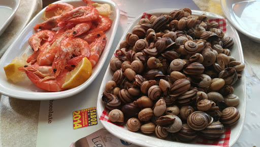 Pastelaria Avenida no Gavião, Portalegre