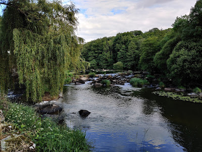 Bords de sevre à Mortagne-sur-Sèvre