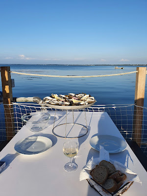 La Nurserie Du Golfe à Sarzeau