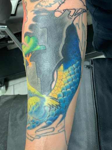 Tattoo Shop «Electric Dragonland», reviews and photos, 923 Mainstreet, Hopkins, MN 55343, USA