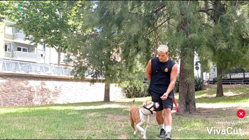 Adiestradores caninos y entrenadores de mascotas en Mataró de 2024