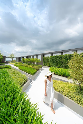 CUCHI ORGANIC ECO FARM