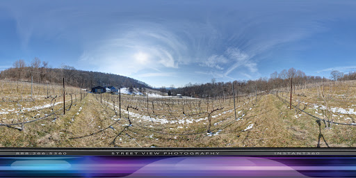 Vineyard «Naked Mountain Winery & Vineyards», reviews and photos, 2747 Leeds Manor Rd, Markham, VA 22643, USA