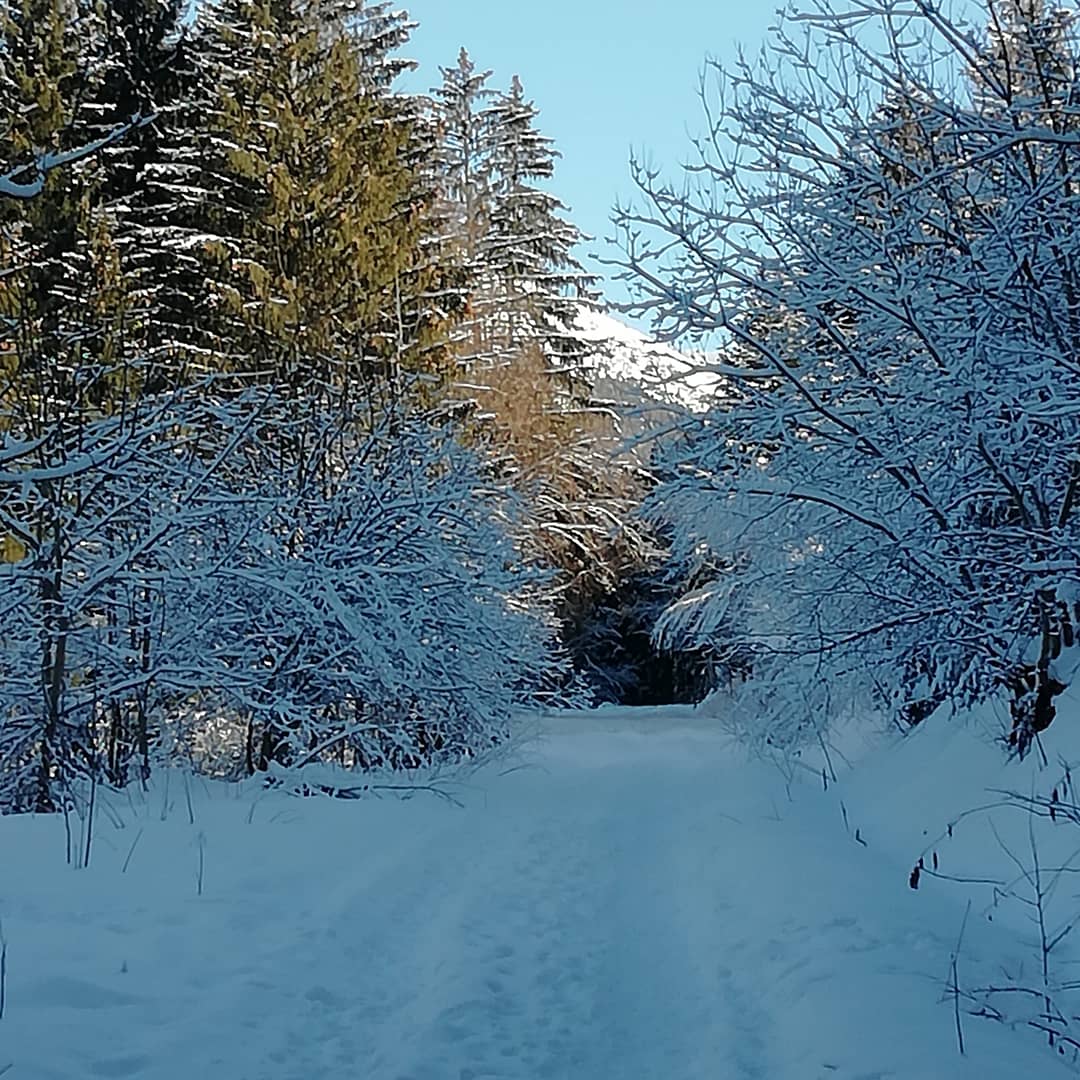 Photo n° 1 de l'avis de Dominique.a fait le 20/01/2021 à 04:19