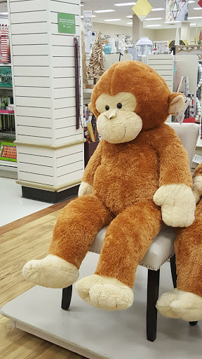 Department Store «Marshalls & HomeGoods», reviews and photos, 4607 Kirkwood Hwy, Wilmington, DE 19808, USA