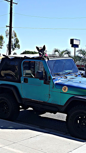 Auto Parts Store «Pep Boys Auto Parts & Service», reviews and photos, 17811 Colima Rd, City of Industry, CA 91748, USA