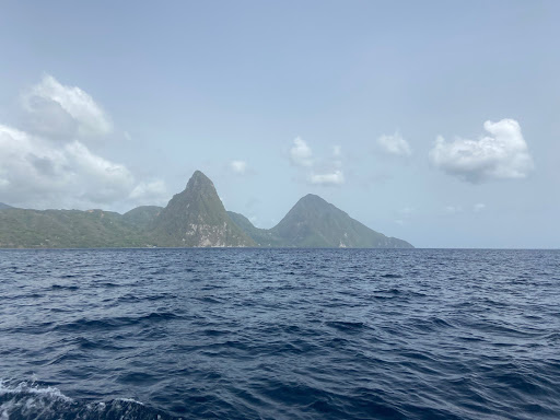 Travel Agency «First Discount Travel», reviews and photos, 4828 Cooper Rd, Cincinnati, OH 45242, USA