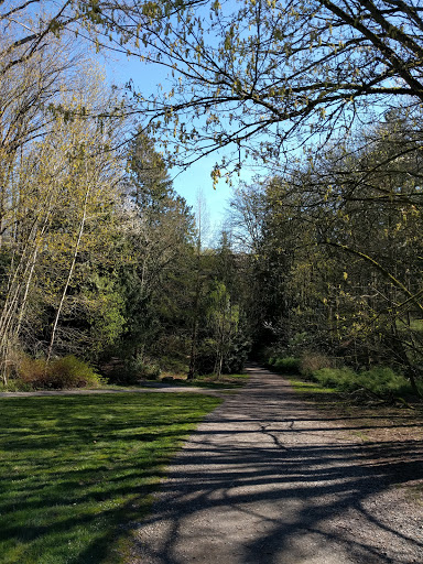 Park «Cowen Park», reviews and photos, 5849 15th Ave NE, Seattle, WA 98105, USA