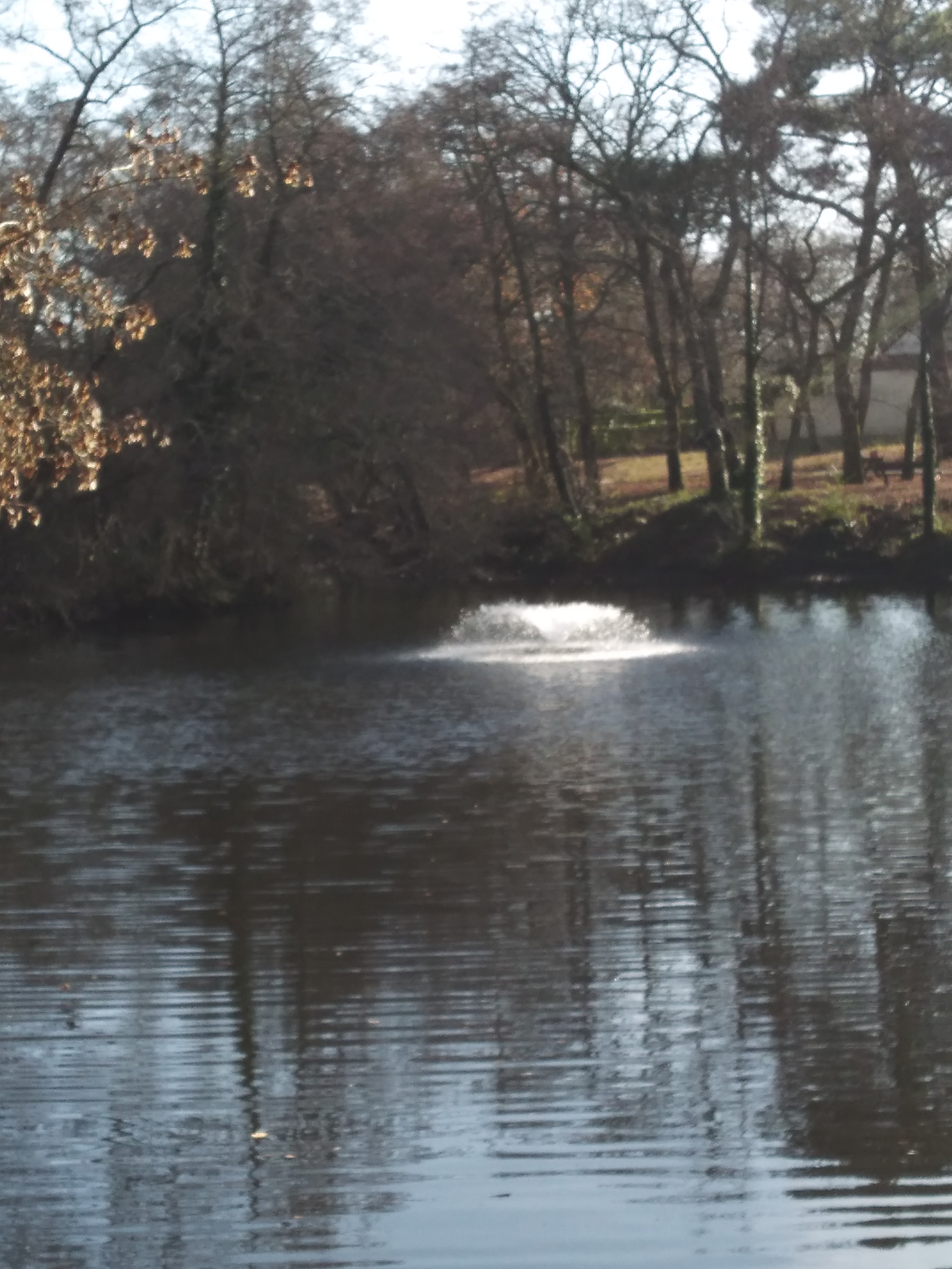 Photo n° 1 de l'avis de Emmanuelle.l fait le 06/02/2020 à 16:17