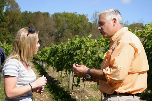 Winery «Cava Winery & Vineyard», reviews and photos, 3619 NJ-94, Hamburg, NJ 07419, USA