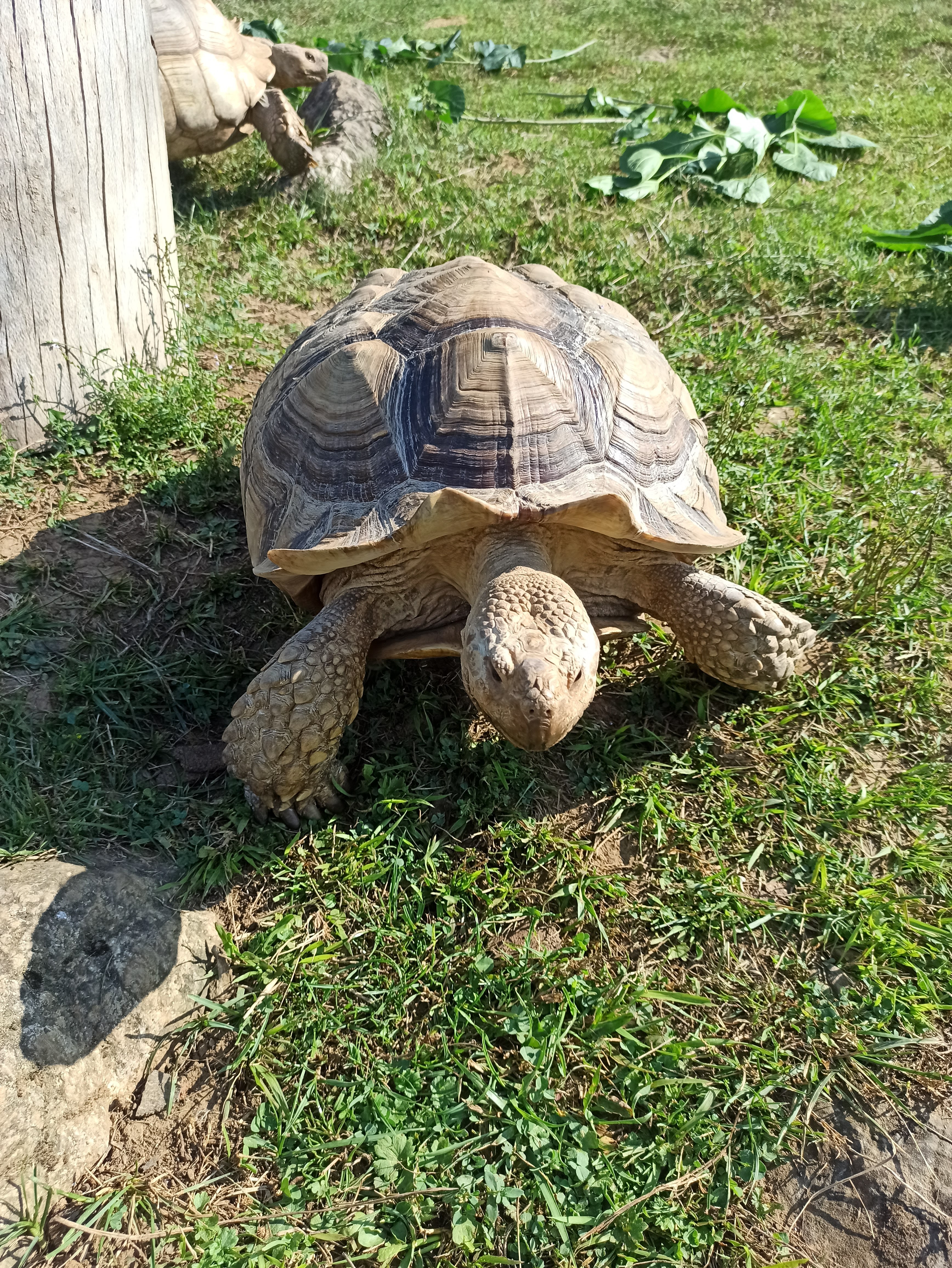 Photo n° 1 de l'avis de Julien.r fait le 21/08/2021 à 09:12