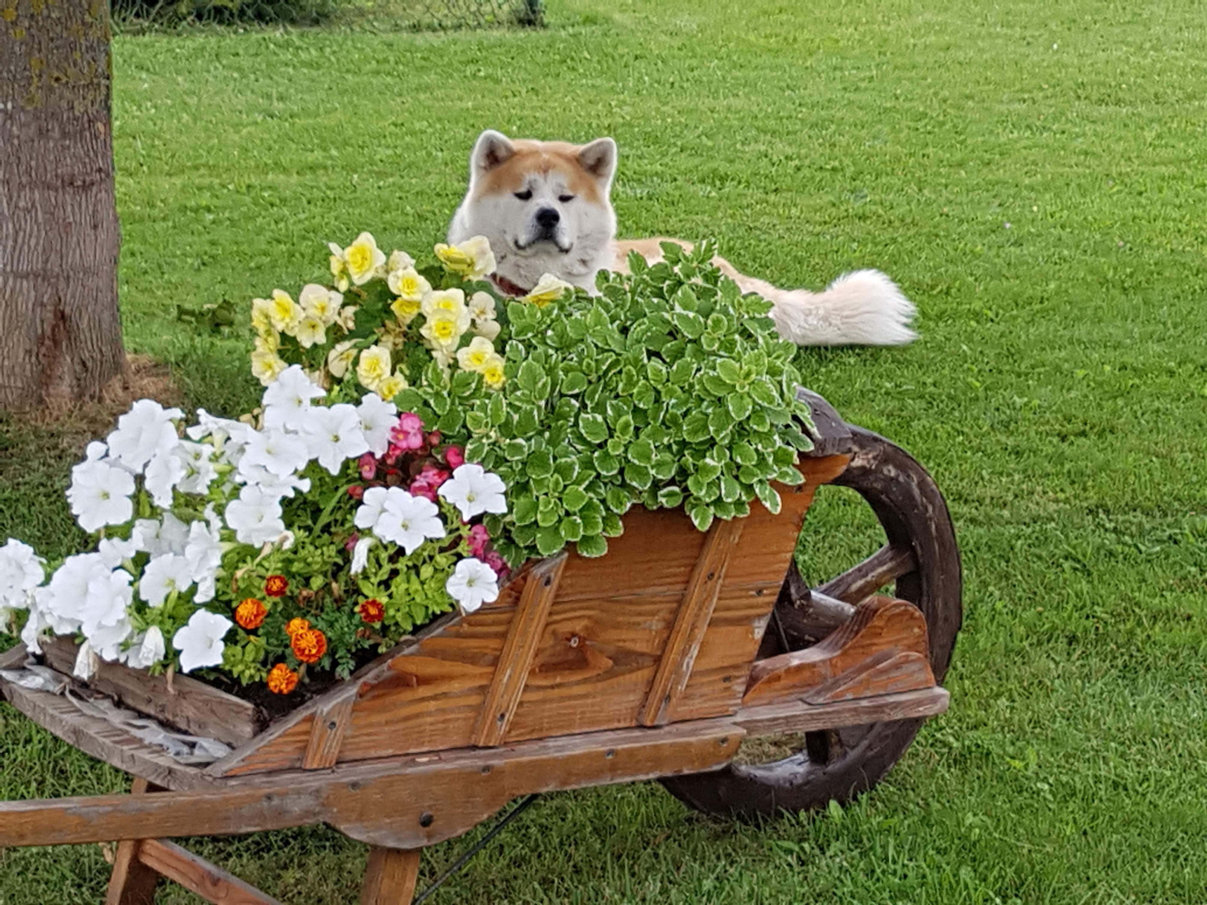 Photo n° 5 de l'avis de jean.u fait le 13/10/2018 à 16:58