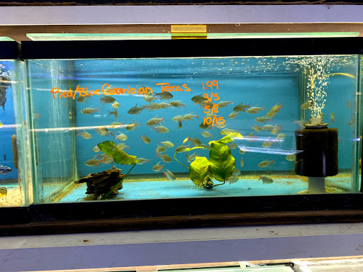Pet Store «Fish Bowl Aquarium & Pet Mart», reviews and photos, 725 Providence St, West Warwick, RI 02893, USA