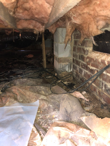 General Contractor «Dry Pro Foundation and Crawlspace Specialists», reviews and photos