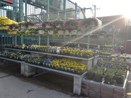 Home Improvement Store «The Home Depot», reviews and photos, 825 E Dundee Rd, Palatine, IL 60074, USA