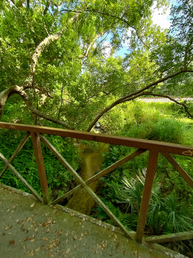 Park «Cliff Stephens Park», reviews and photos, 600 Fairwood Ave, Clearwater, FL 33759, USA