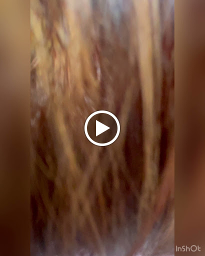 Beauty Salon «Elite Salon & Spa», reviews and photos, 4808 W 83rd St, Burbank, IL 60459, USA