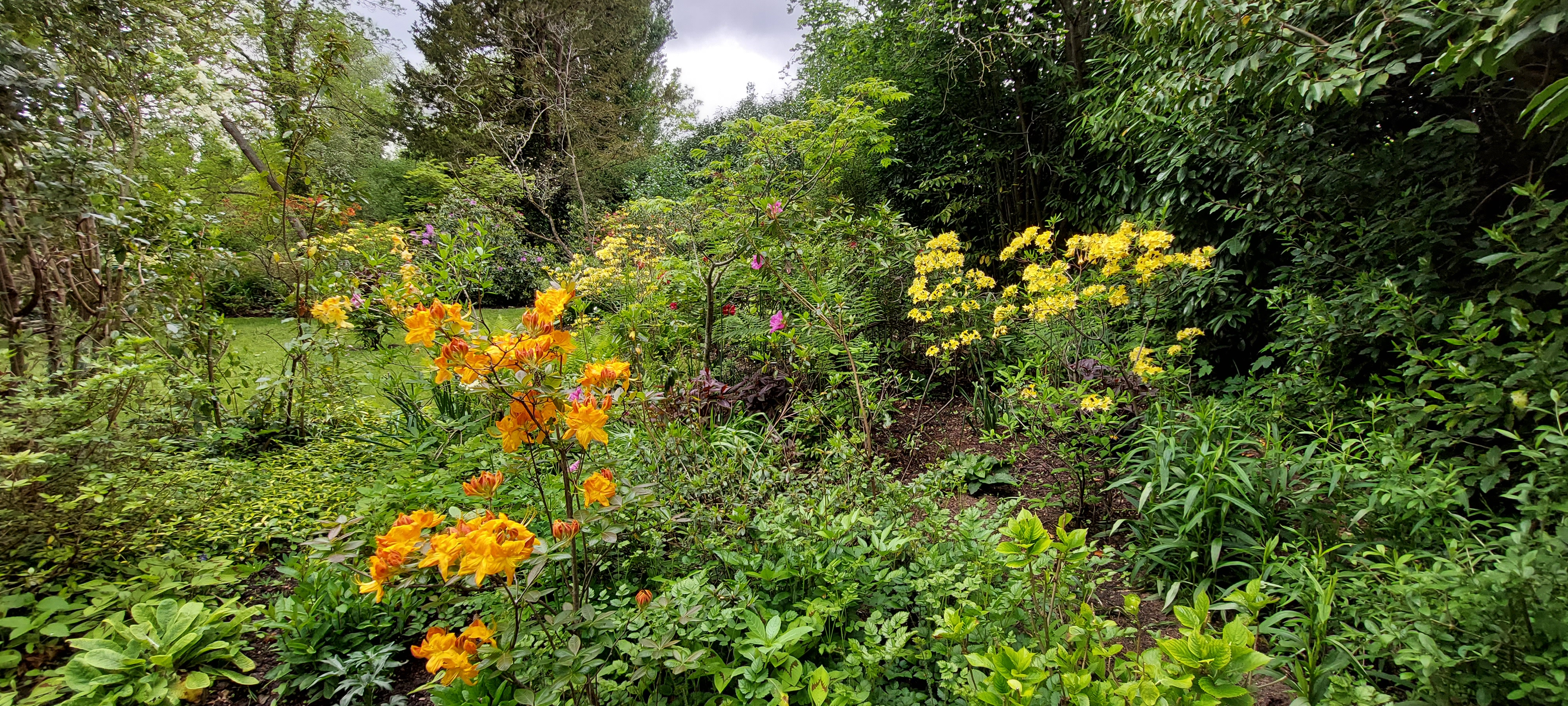 Photo n° 3 de l'avis de isabelle.h fait le 14/05/2023 à 11:50