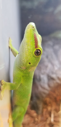 Pet Supply Store «Petco Animal Supplies», reviews and photos, 1450 Twixt Town Rd, Marion, IA 52302, USA