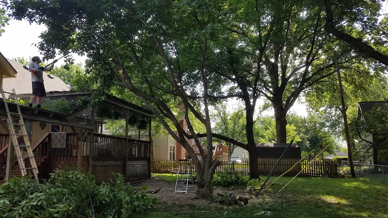 Wesley Tree Service LLC