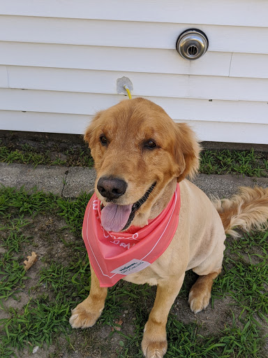 Pet Supply Store «PetSmart», reviews and photos, 208 Mariner Way, Biddeford, ME 04005, USA