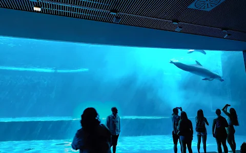 Aquarium of Genoa image