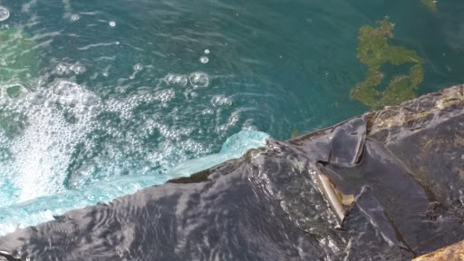 Park «Legacy Park», reviews and photos, 336 Rocky Slope Rd, Greenville, SC 29607, USA