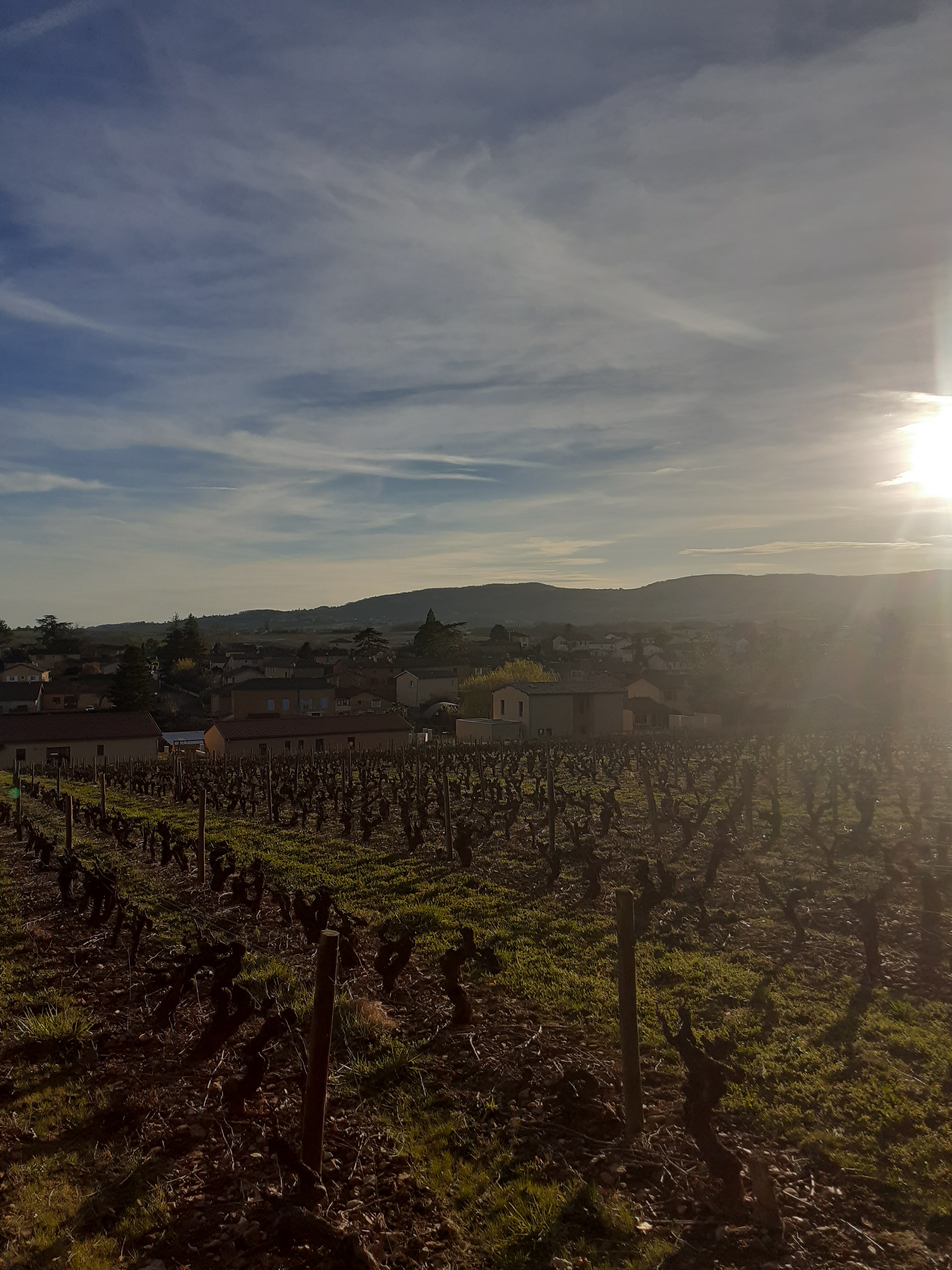 Photo n° 13 de l'avis de Hugo.o fait le 16/03/2023 à 16:58
