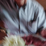 Photo n°2 de l'avis de Luisa.a fait le 16/06/2019 à 14:07 sur le  Biergarten Parco Masere à Pelugo