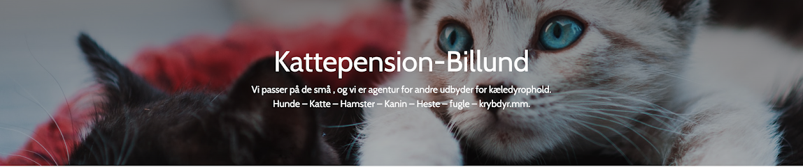 Kattepension Billund