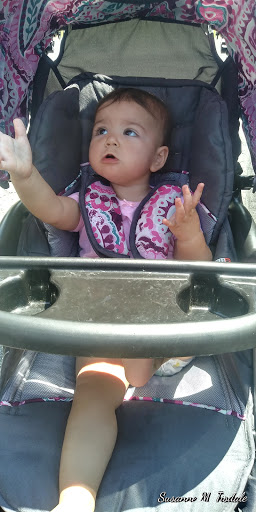 Water Park «The Splash Pad», reviews and photos, 1101 M.L.K. Jr Dr, Kingsport, TN 37660, USA