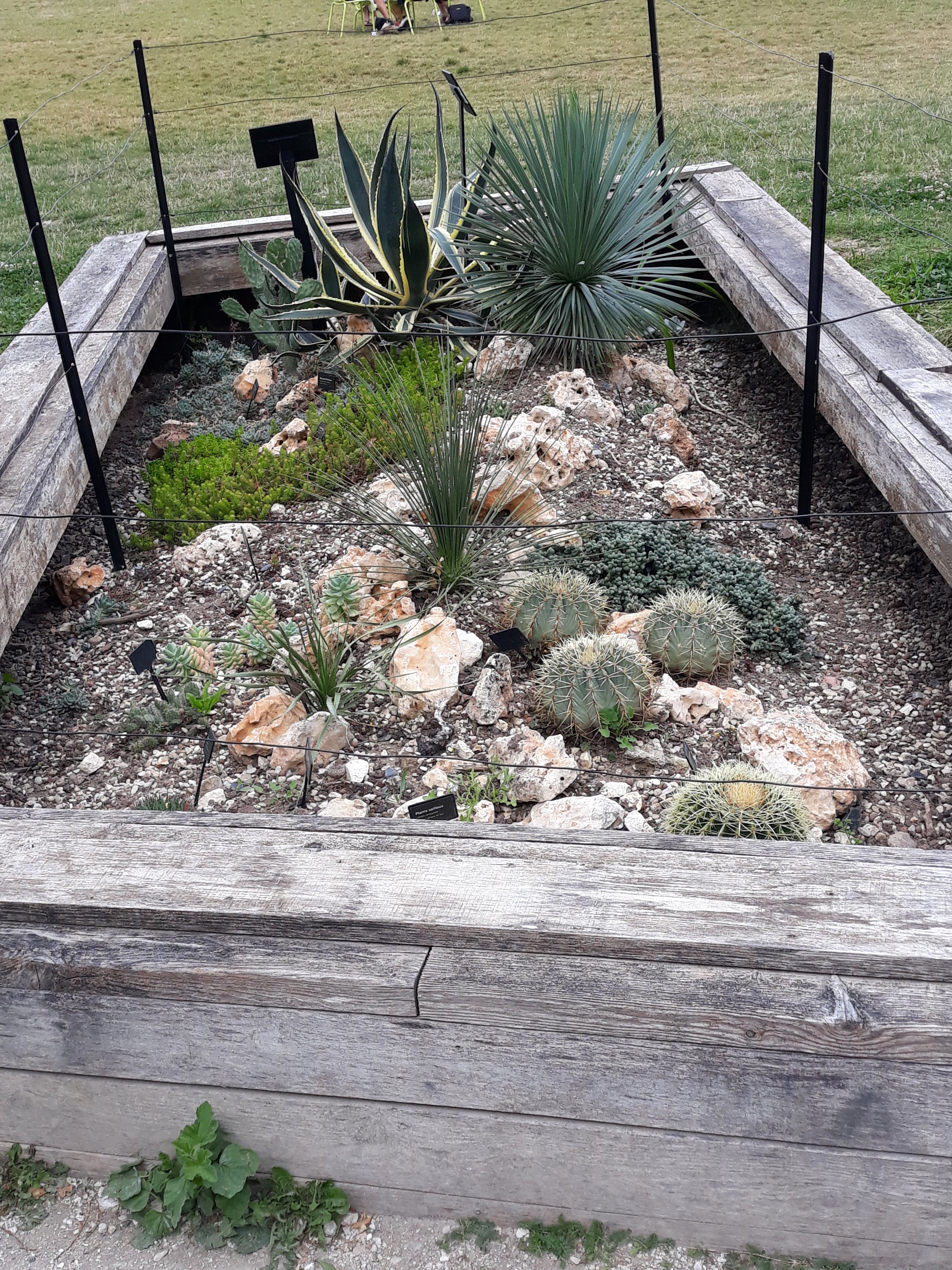 Photo n° 34 de l'avis de Ludo.a fait le 30/08/2021 à 17:15