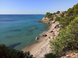 Foto di Cala Del Solitari e l'insediamento
