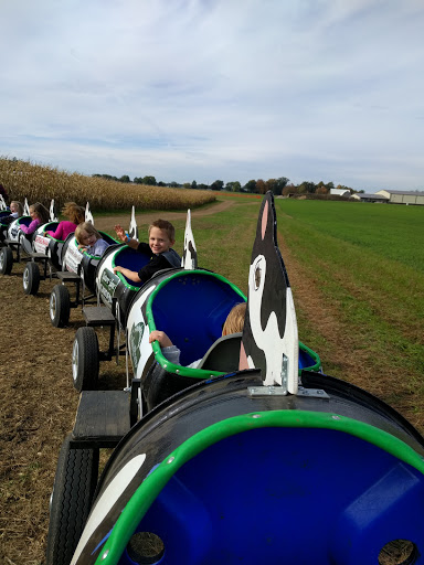 Tourist Attraction «Shipshewana Corn Maze», reviews and photos, 505 Morton St, Shipshewana, IN 46565, USA