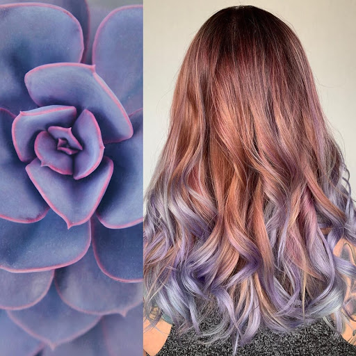 3500 Jefferson St #101, Austin, TX 78731, USA