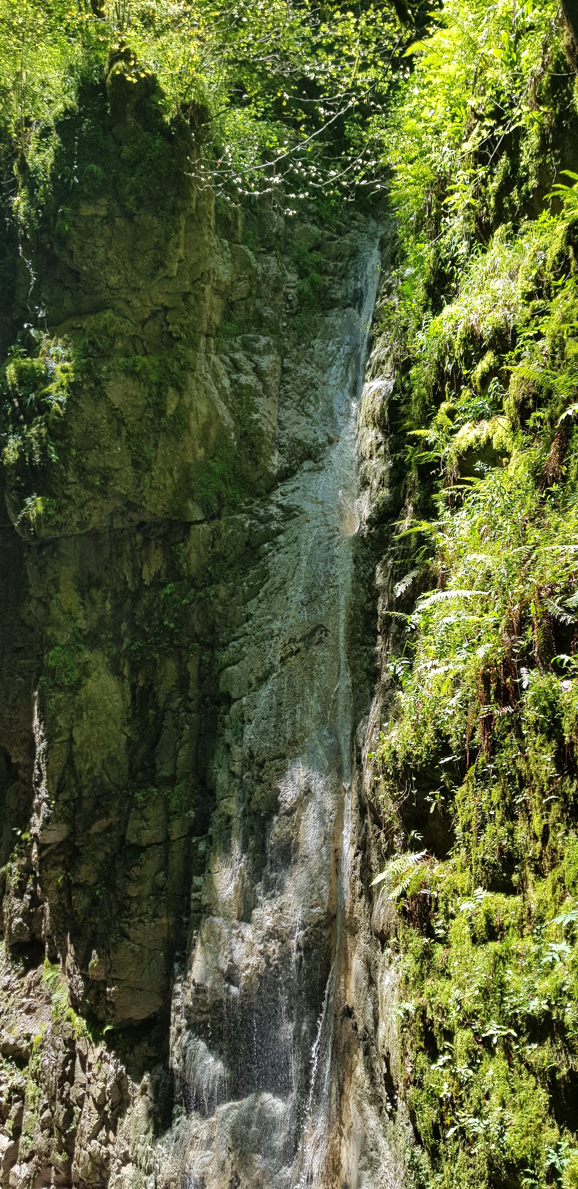 Photo n° 12 de l'avis de fabrice.e fait le 19/07/2018 à 07:30