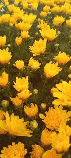 Supermarket «Hy-Vee», reviews and photos, 528 IA-1, Washington, IA 52353, USA