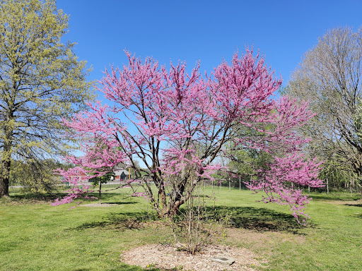 Arboretum «Orange County Arboretum», reviews and photos, 211 NY-416, Montgomery, NY 12549, USA