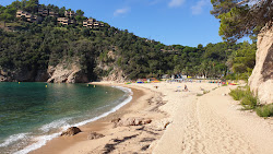 Photo de Plage de Cala Giverola avec baie spacieuse
