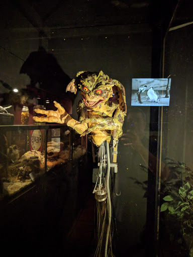 Gift Shop «Lucky Lizard Curios & Gifts», reviews and photos, 412 E 6th St, Austin, TX 78701, USA