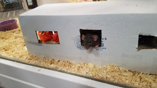 Pet Store «Paws Natural Pet Emporium», reviews and photos, 8551 W Gage Blvd, Kennewick, WA 99336, USA