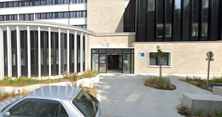 Centre de Santé Sexuelle - CPEF - Département du Calvados