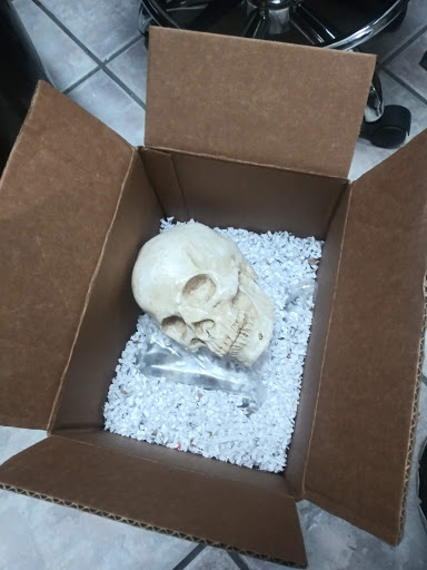 Explore small alice in wonderland tattoo ideas, creative tattoo ideas in Bradenton, available at Memory Lane Tattoo Co.