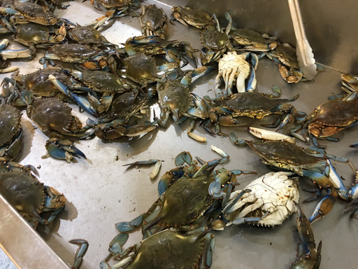 Korean Grocery Store «H Mart», reviews and photos, 2700 Lawrenceville-Suwanee Rd, Suwanee, GA 30024, USA